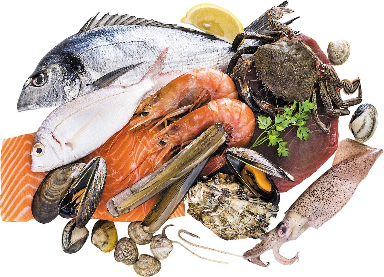 Fish & SeaFood