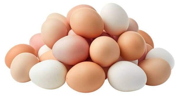 Egg